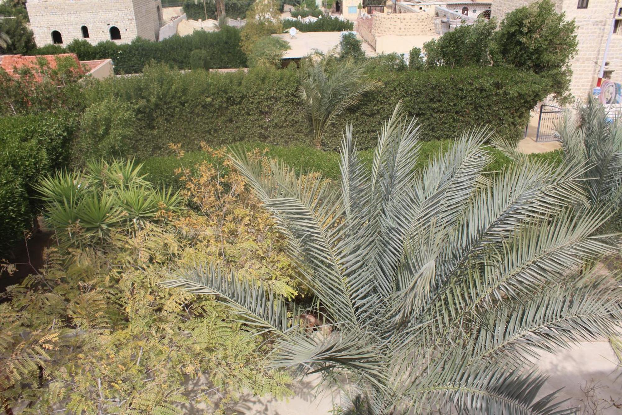 Tunis Village Chalet Al Fayyūm Exteriér fotografie